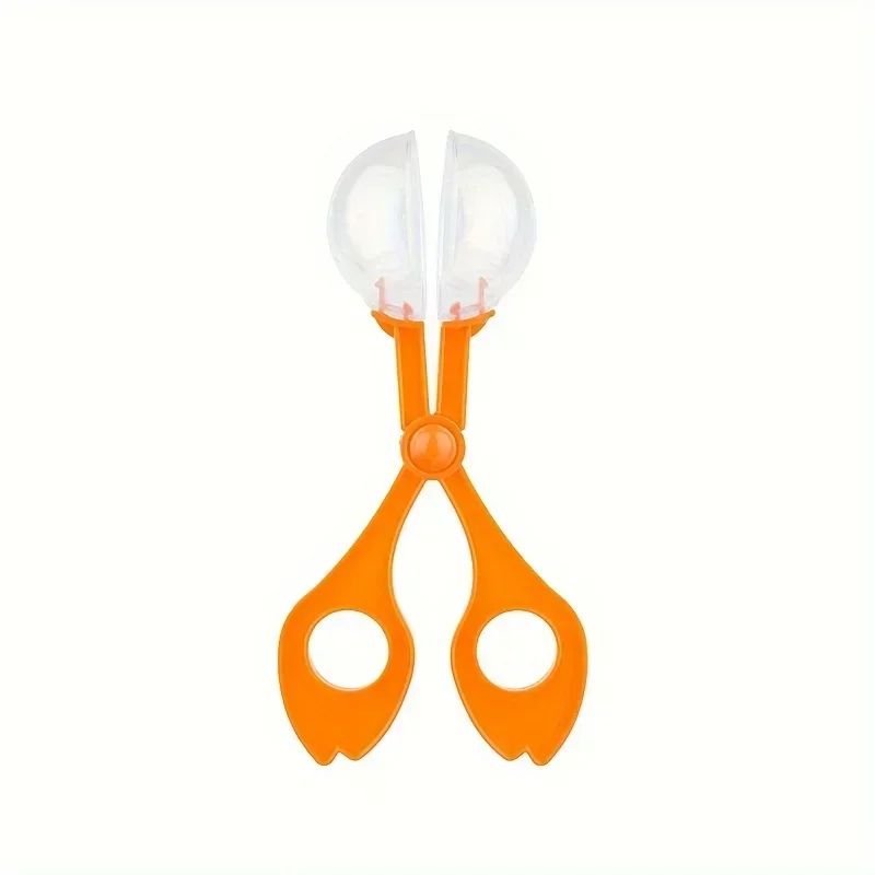 Renkli Büyük Boncuklu Böcek Ya - Outdoor Adventure With Kids incelemesi ve fiyatı