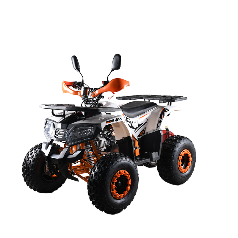 110cc CE EPA Onaylı ATV Yetişk - Outdoor Adventure Quad Biking incelemesi ve fiyatı