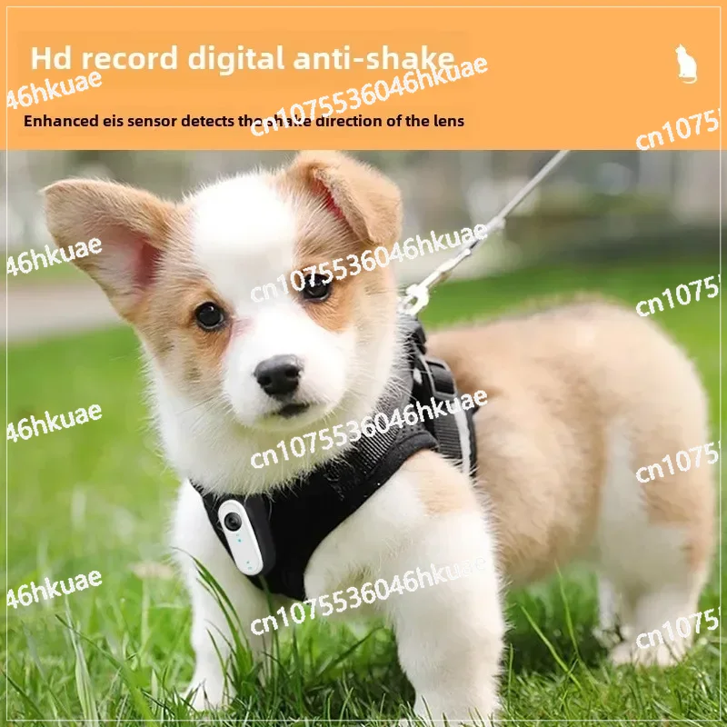 Köpekler ve Kediler için Su Ge - Outdoor Adventure Videos incelemesi ve fiyatı