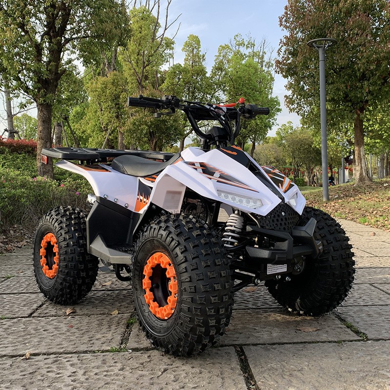 125CC ATV, Küçük Falcon Arazi  - Outdoor Adventure Quad Biking incelemesi ve fiyatı
