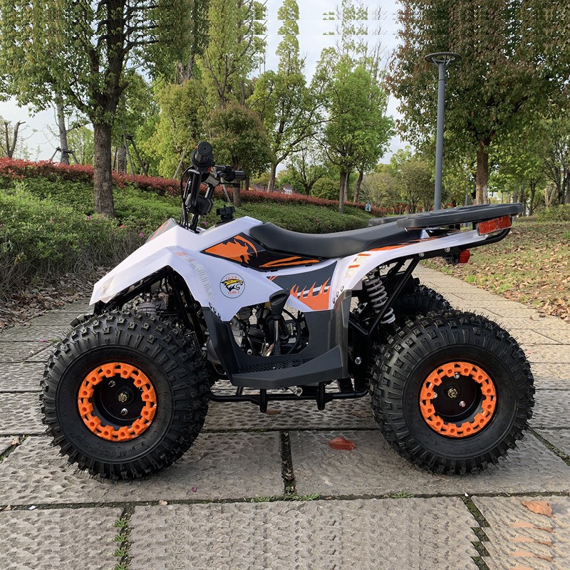 125CC ATV, Küçük Falcon Arazi  - Outdoor Adventure Quad Biking incelemesi ve fiyatı