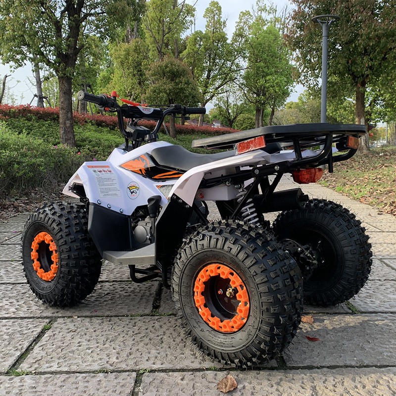125CC ATV, Küçük Falcon Arazi  - Outdoor Adventure Quad Biking incelemesi ve fiyatı