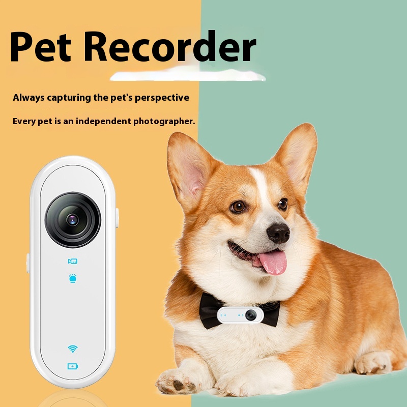 Köpekler ve Kediler için Su Ge - Outdoor Adventure Videos incelemesi ve fiyatı